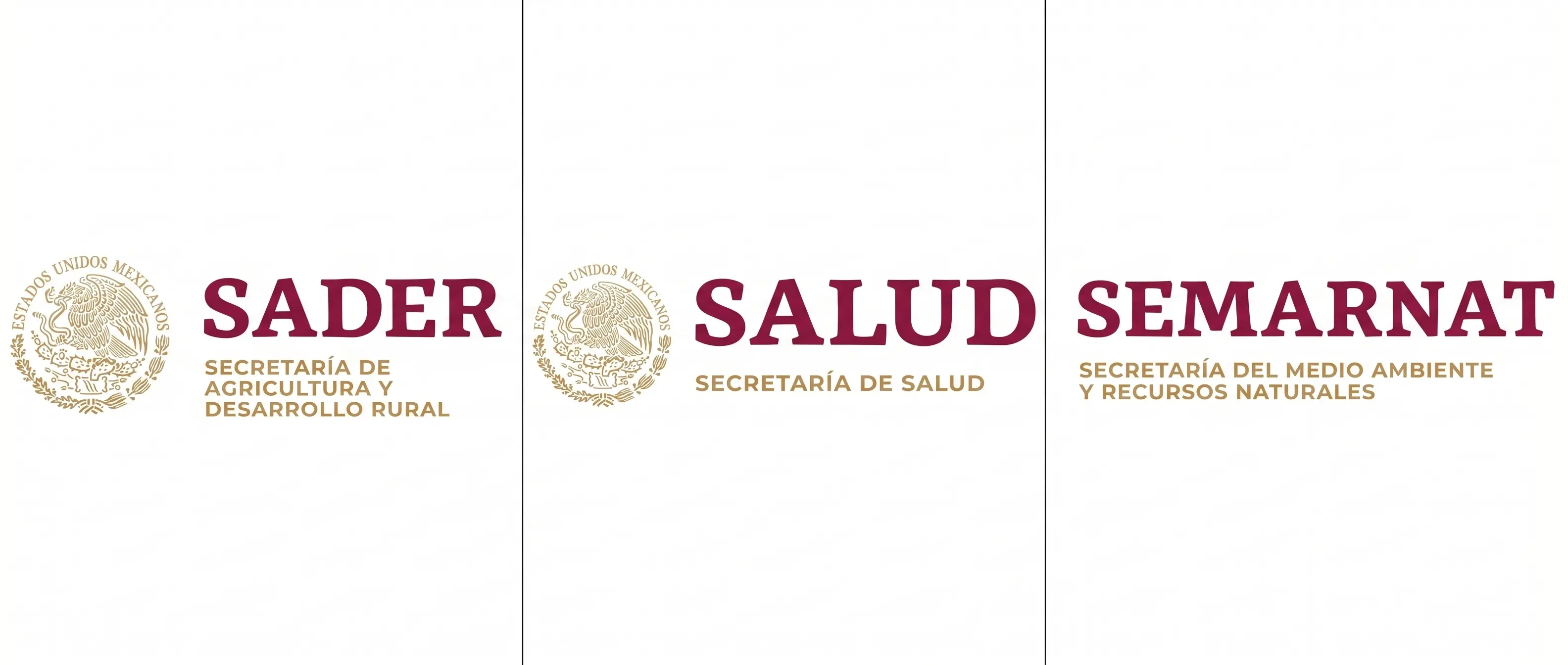 Acreditaciones Oficiales